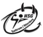 Logo HSG